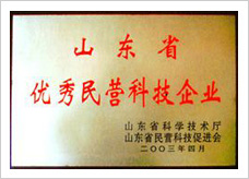优秀民营科技企业